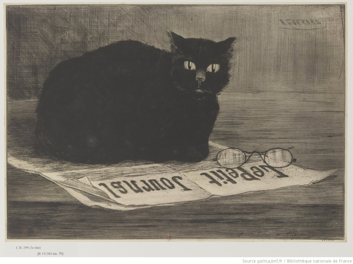 Chat noir sur un journal, H. Guérard, Gallica